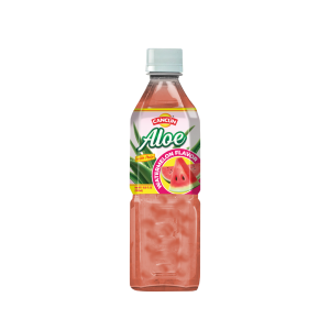 Cancun aloe vera Sandia 500ml 24
